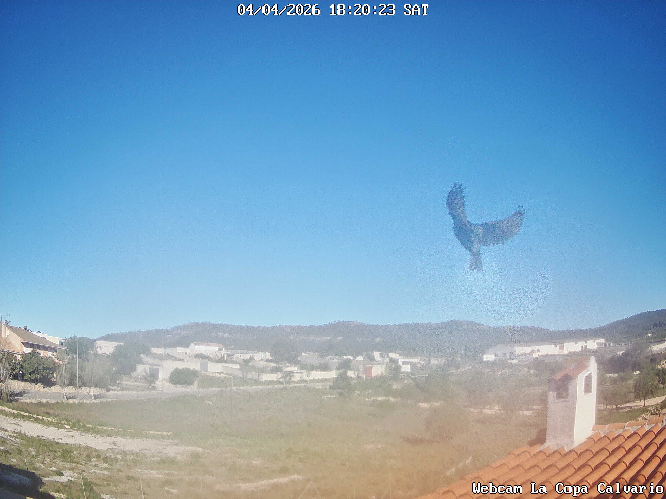 Webcam 2026-04-04 18:20:23